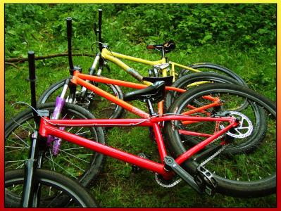bike_s_low.jpg