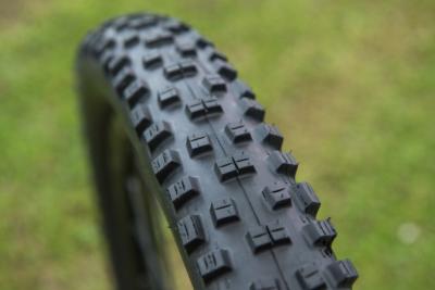 Nobby Nic 2015-1.jpg