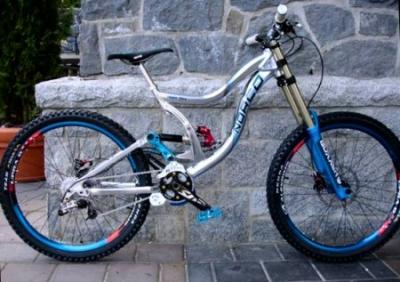2009_norco_team_dh.jpg