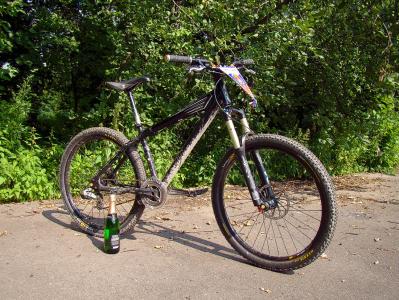 yeti_09_0002low.jpg
