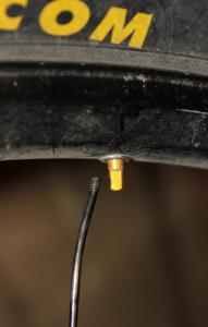IMG_2395_low.jpg