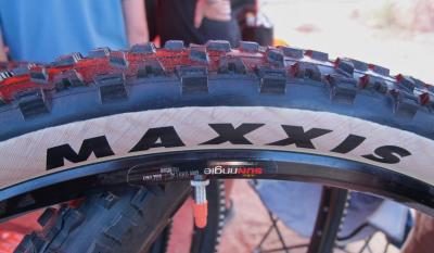 Maxxis Ardent.jpg