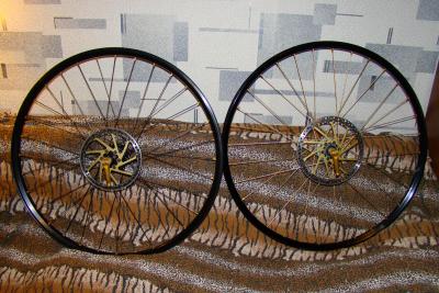 koleski_2010.jpg